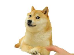 Doge