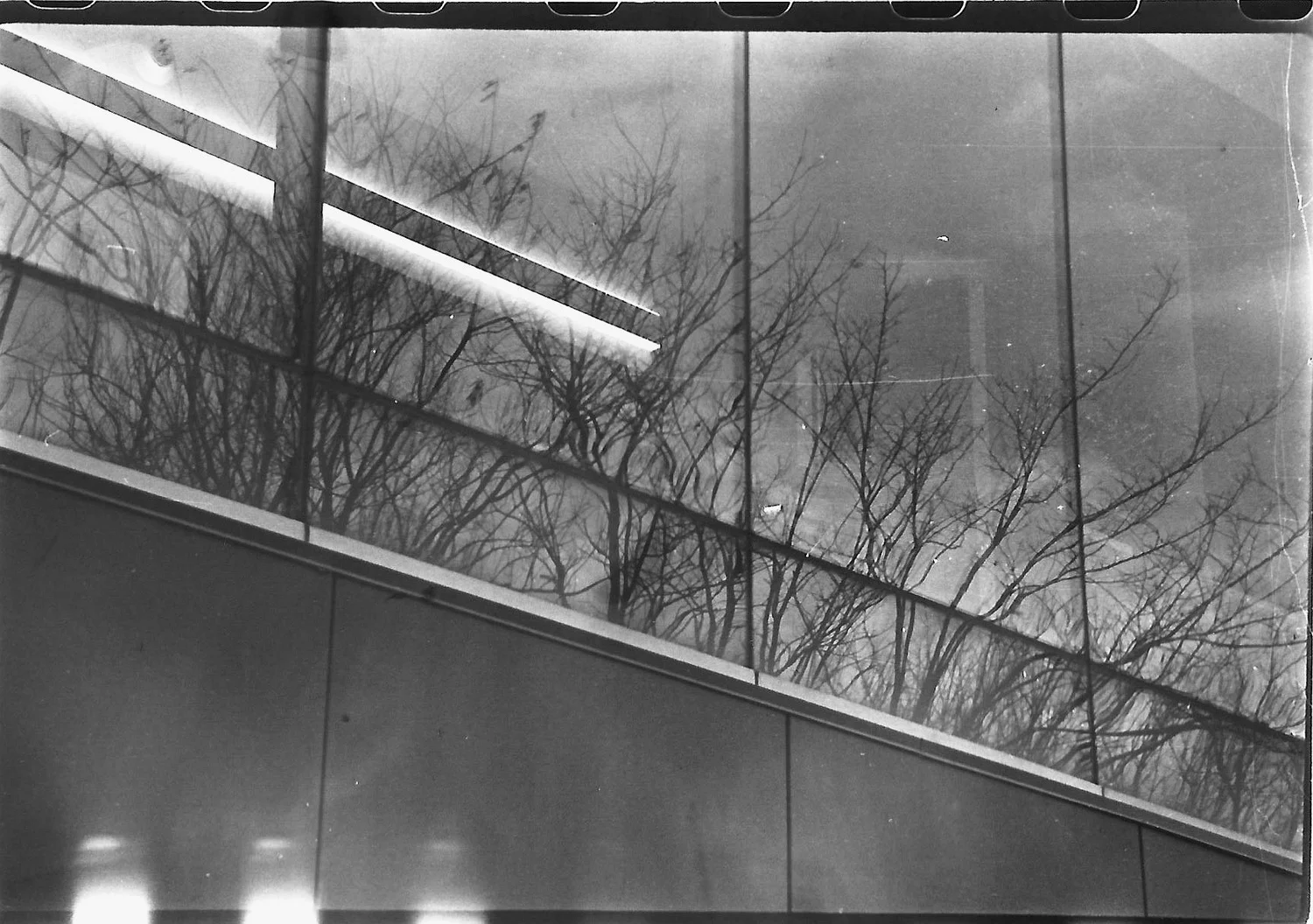 Photo_2025-02-15_163135