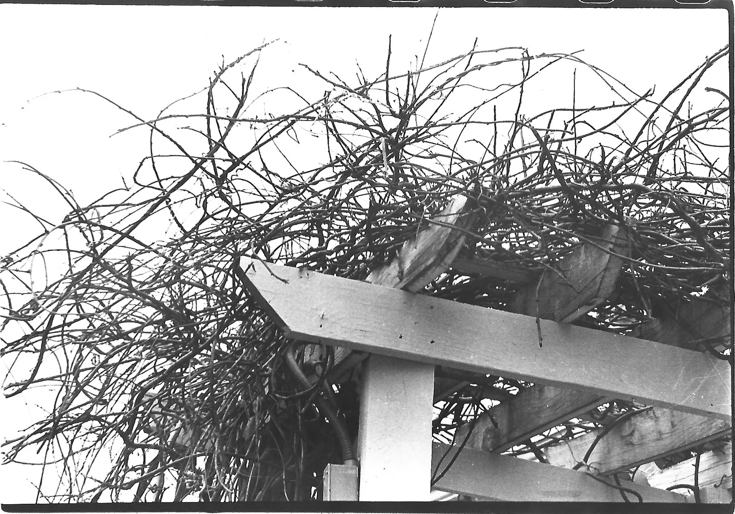 Photo_2025-02-15_163545