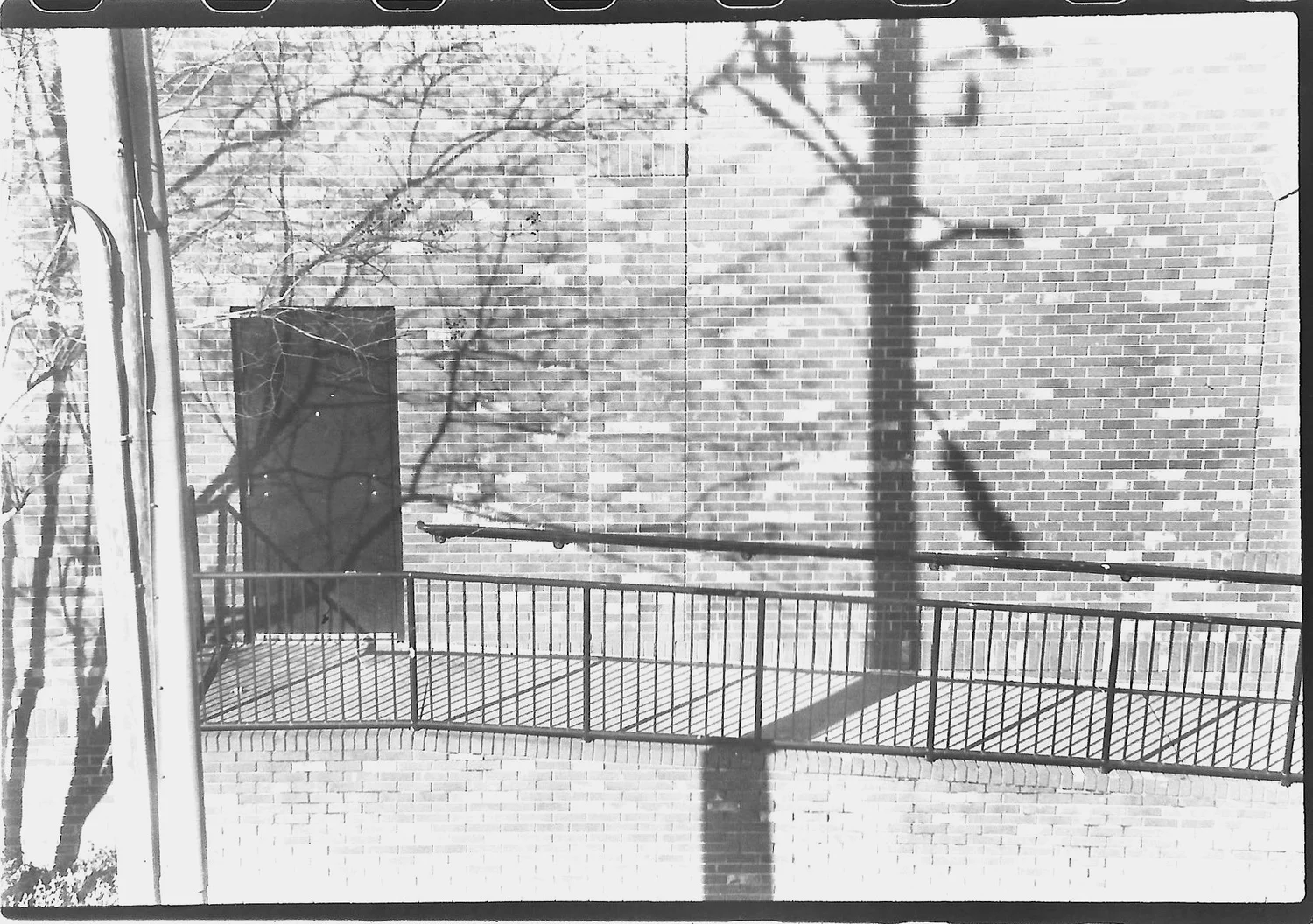 Photo_2025-02-15_163645